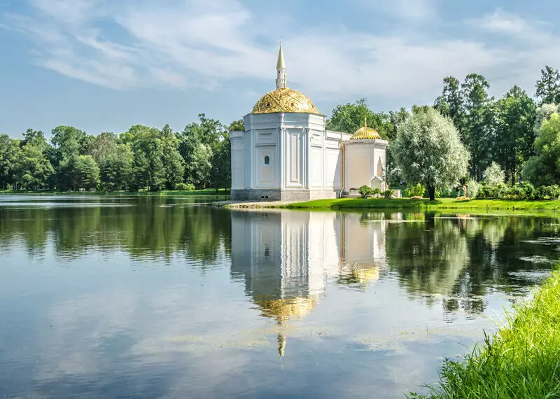 Catherine Palace and Amber Room Tour - Private Pushkin Day