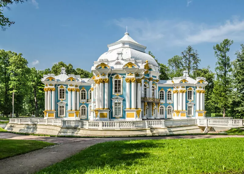 Catherine Palace and Amber Room Tour - Private Pushkin Day