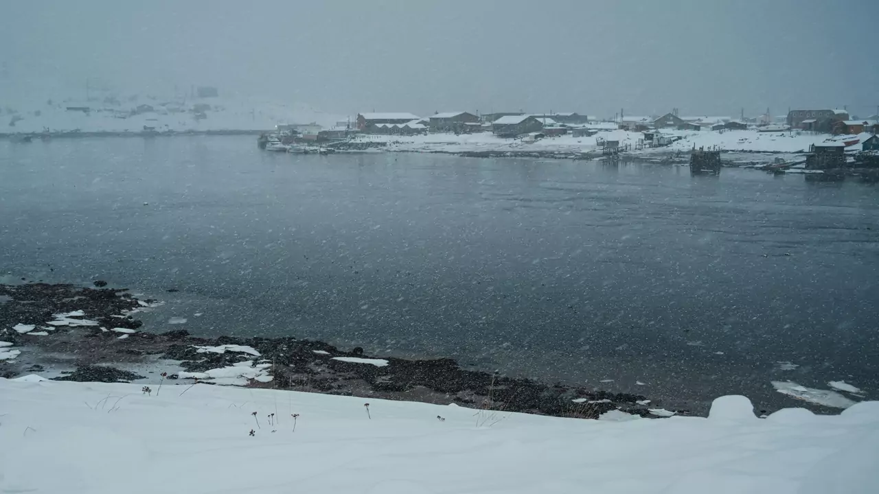 Snowy Barents Sea coast in the Murmansk region